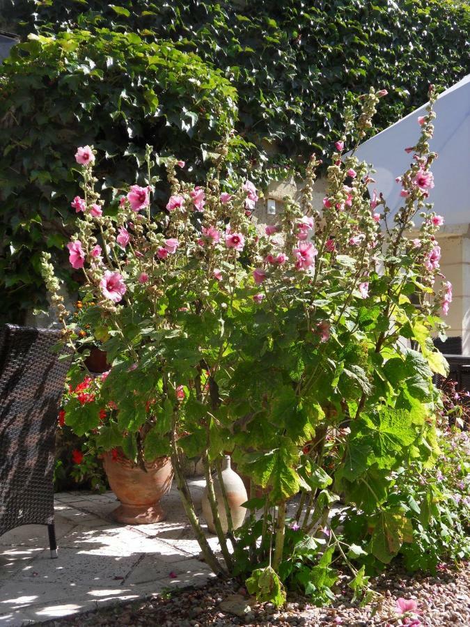 Troglodelice Bed & Breakfast Azay-le-Rideau Exterior foto
