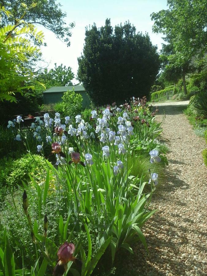 Troglodelice Bed & Breakfast Azay-le-Rideau Exterior foto